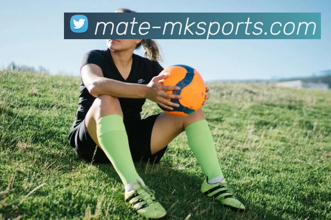 MK体育APP 高清赛事图